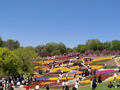 -沈阳植物园