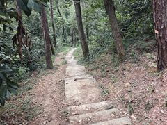 -青龙山国家森林公园