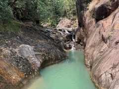 -广州白江湖森林公园