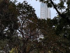 -九龙公园