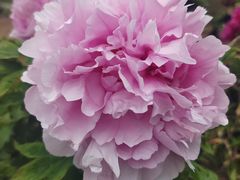 -玄武湖景区-情侣园游乐场