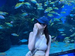 -海合安成都极地海洋公园