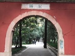 -灵谷景区