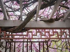 -郑和公园