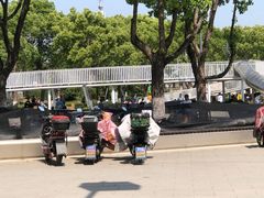 -陈家山荷花公园