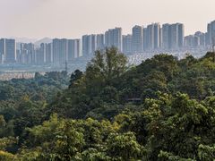 -张坝桂圆林公园