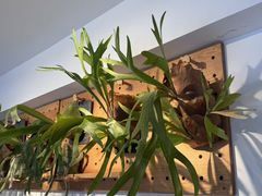 -1861意大利餐厅(来福士店)