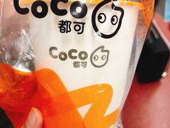 -CoCo都可(小寨赛格店)
