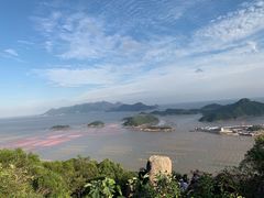 -花竹村