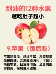 -Fundi张玉珊修身堂·indiba·BTL科技瘦身