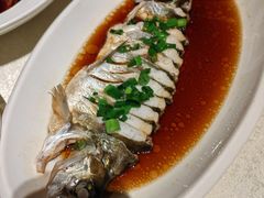 -金美华轩(东方路齐鲁店)