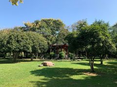 -汉水公园