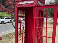 -铁山坪森林公园