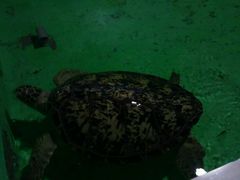 -常州海昌海洋探索馆