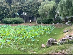 -堤角公园
