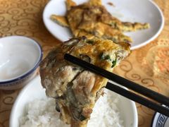 -水上鱼当家