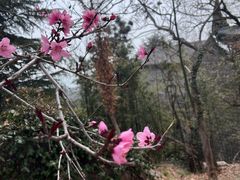-青岛崂山太清宫