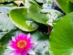 -青州市云门山风景区