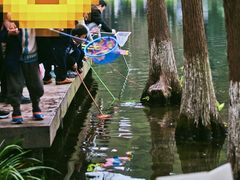 -重庆彩云湖湿地公园