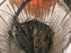 -星伦多自助料理(华润万象城店)