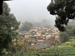 -杨家堂村