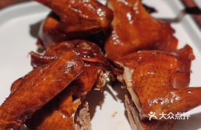 Rose Salt Pigeon