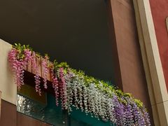 -万达广场(泰安泰山店)