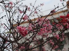 -小南山公园