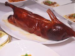-西郊壹号