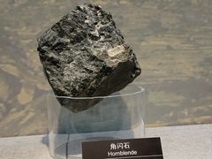 -甘肃地质博物馆