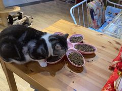 -小时光咖啡馆(开森度假森林店)