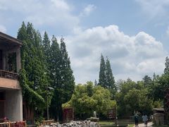 -乌村