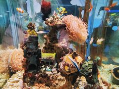 -太平洋海底世界