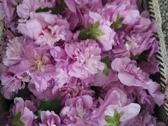 -小玲农家柴火饭店