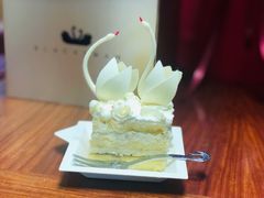 -BLACKSWAN黑天鹅(环球店)