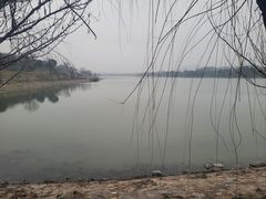 -羊山湖公园