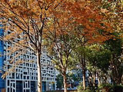 -证大喜玛拉雅中心