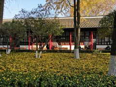 -南京中国近代史遗址博物馆(南京总统府)