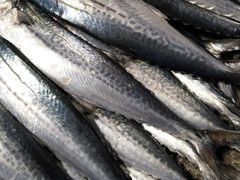 -浦商菜市场·锦德店
