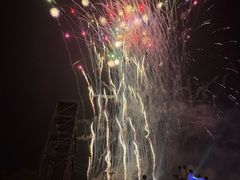 -花博汇(知音花月夜)