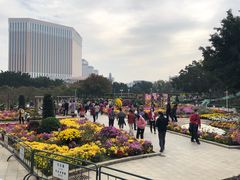 -龙环葡韵住宅式博物馆