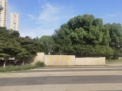 -青枫公园