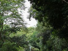 -玉树公园