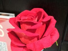 -百饺园(平山道店)