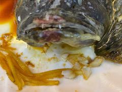 清蒸石斑鱼-覃记海鲜美食餐厅