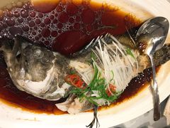清蒸珍珠斑-天意坊