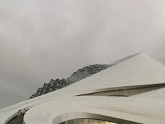 -哈尔滨大剧院