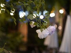 -秘密小花园(第三中学店)