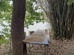 -杏花村文化旅游区