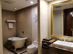 -圣爵菲斯大酒店(长沙世界之窗店)